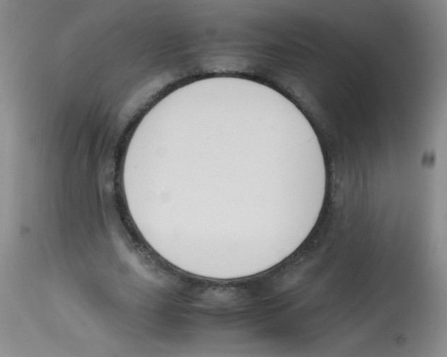 X0000113950631200910232007