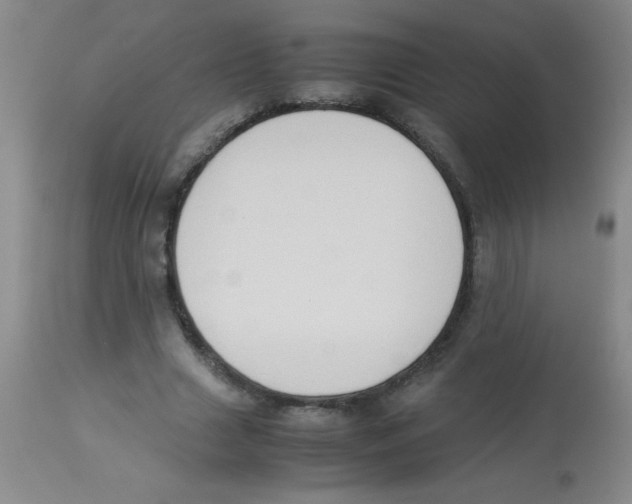 X0000113950633200910232007