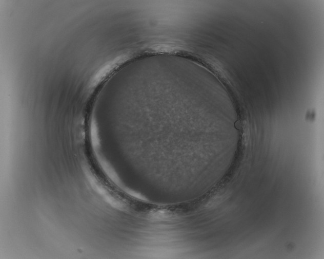 X0000113950634200910232007