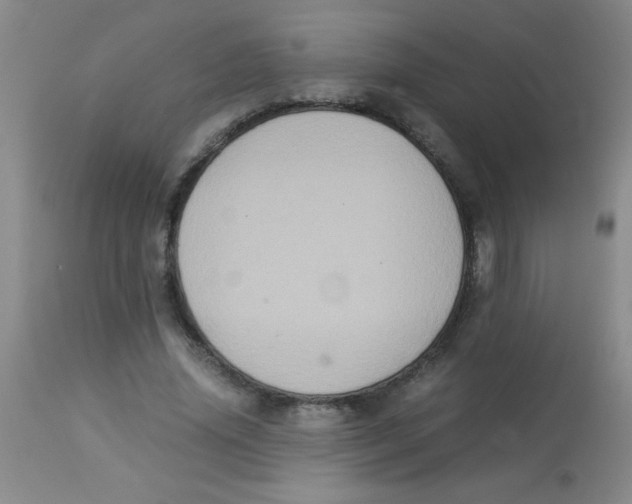 X0000113950636200910232007