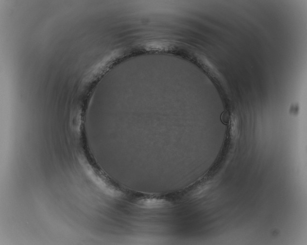 X0000113950637200910232007