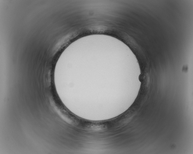 X0000113950638200910232007