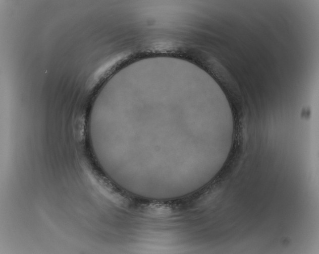 X0000113950640200910232007