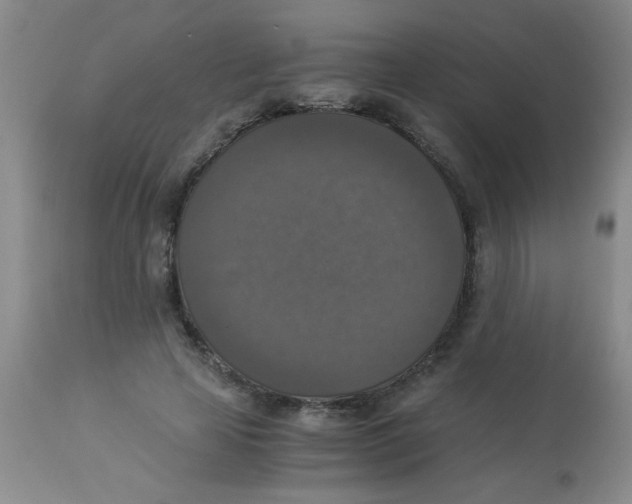 X0000113950641200910232007