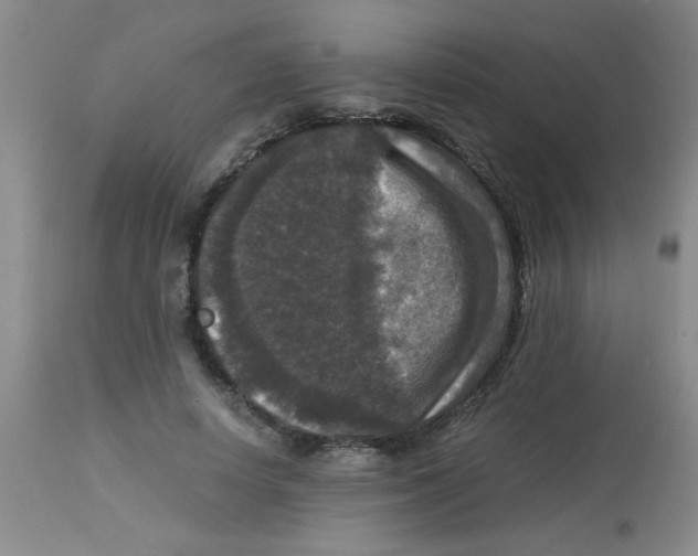 X0000113950642200910232007