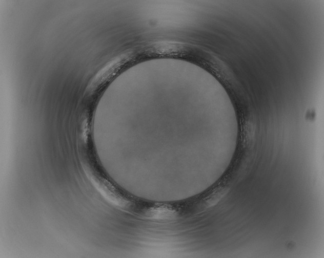 X0000113950644200910232007