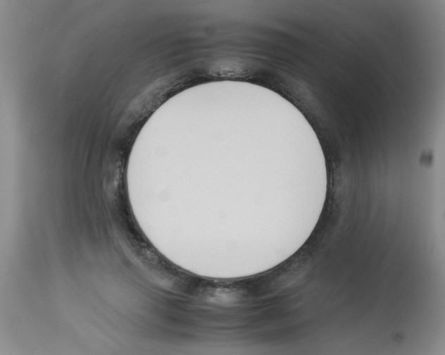 X0000113950645200910232007