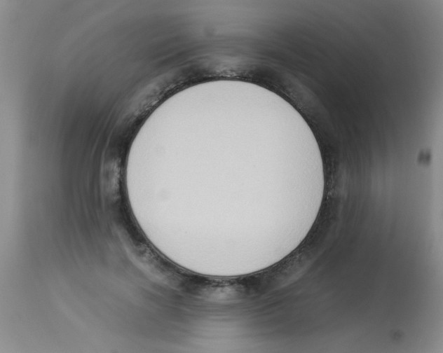 X0000113950646200910232007