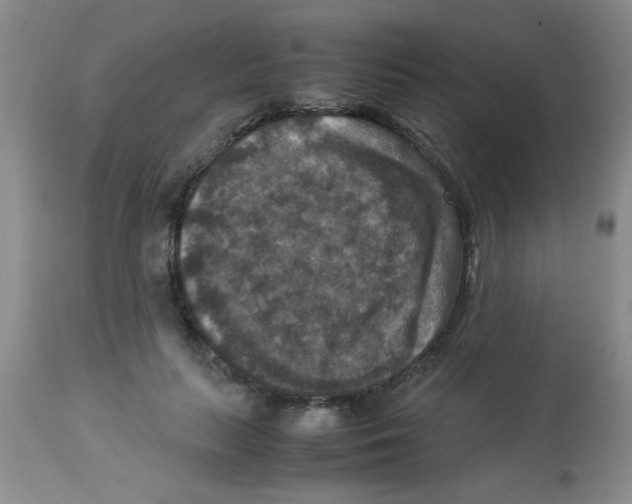 X0000113950647200910232007