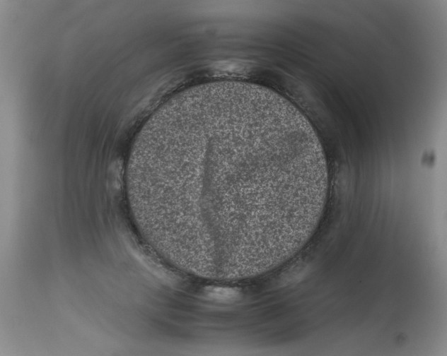 X0000113950649200910232007