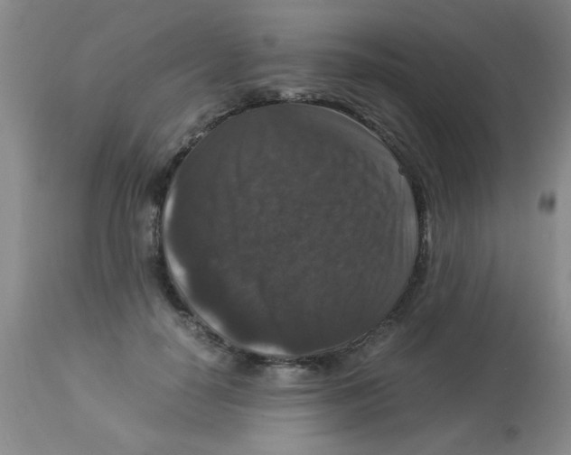 X0000113950650200910232007