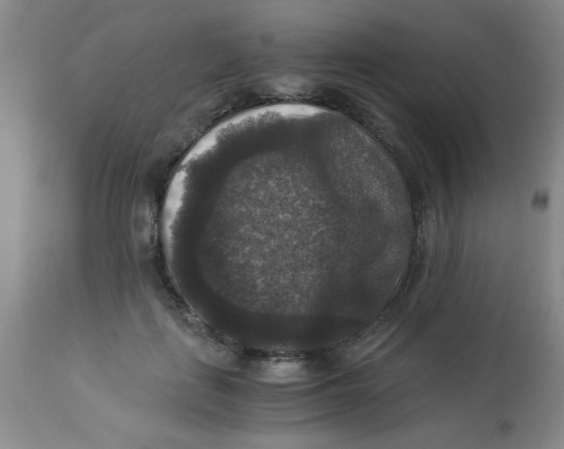 X0000113950651200910232007