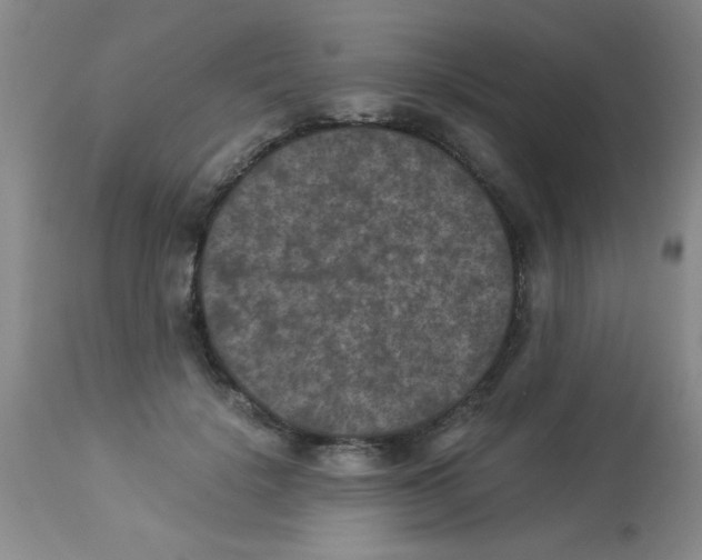 X0000113950652200910232007