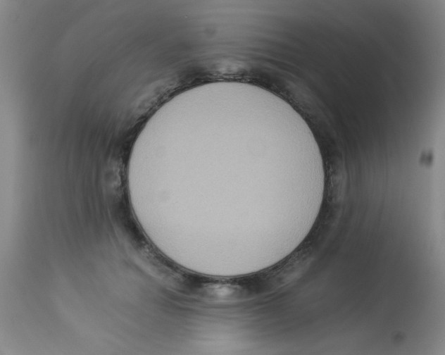 X0000113950654200910232007