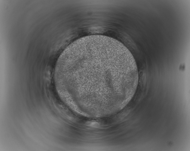 X0000113950655200910232007