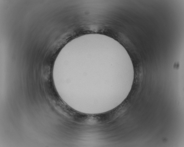 X0000113950656200910232007