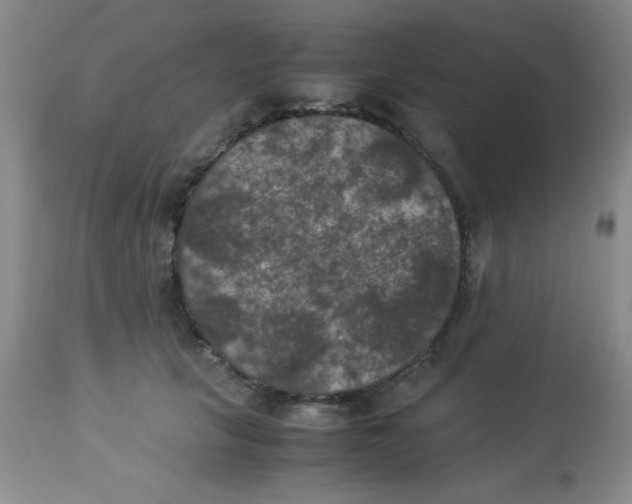 X0000113950657200910232007