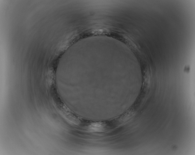 X0000113950659200910232007