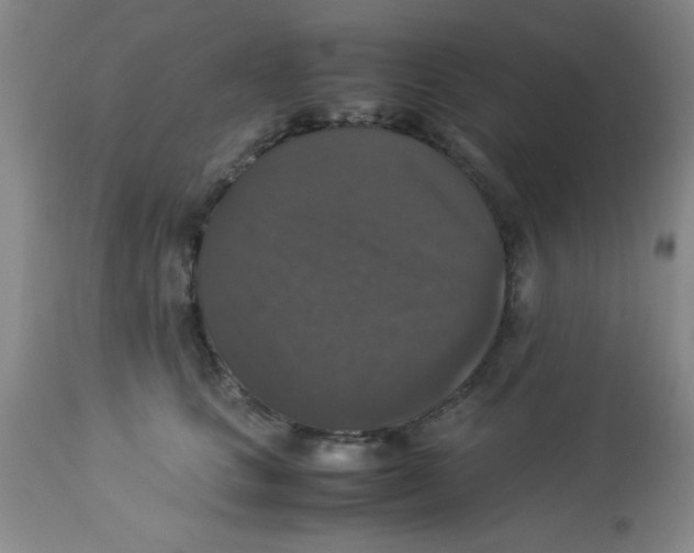 X0000113950661200910232008