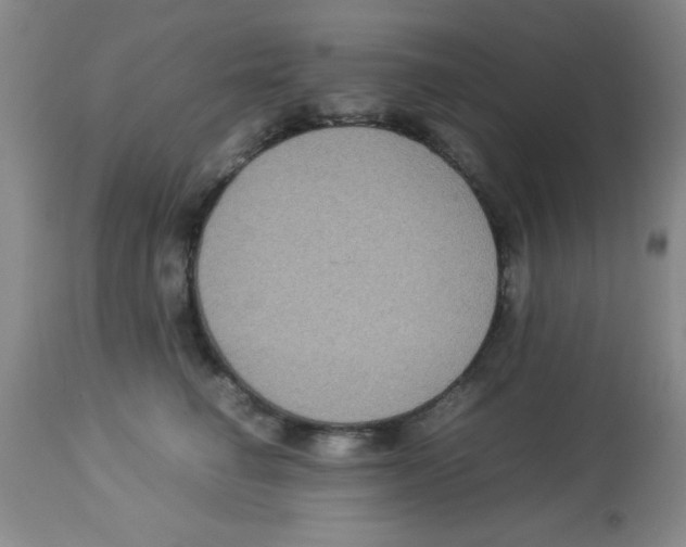 X0000113950662200910232008