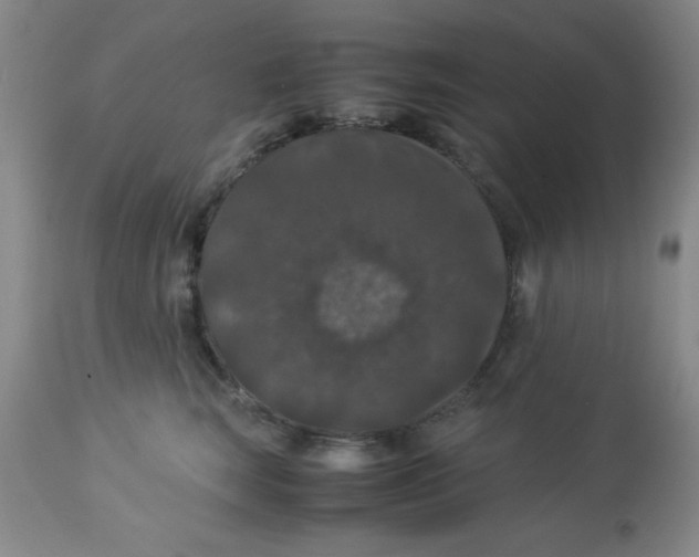 X0000113950663200910232008