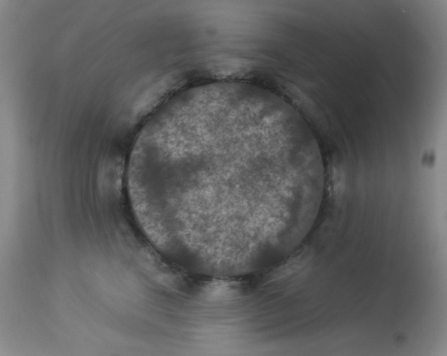 X0000113950664200910232008