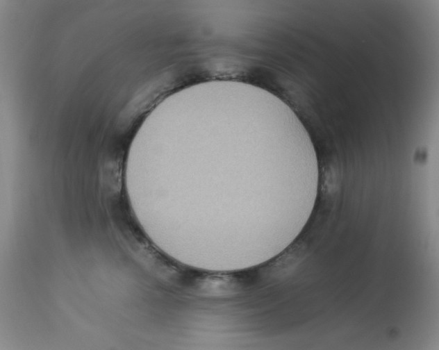 X0000113950666200910232008