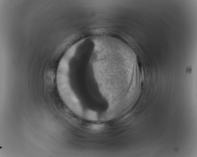 X0000113950669200910232008