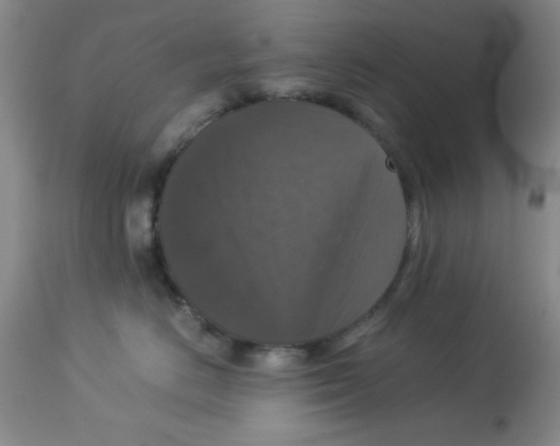 X0000113950670200910232008