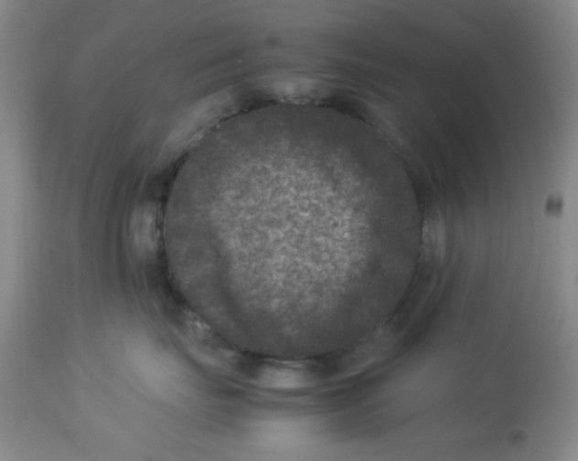 X0000113950671200910232008