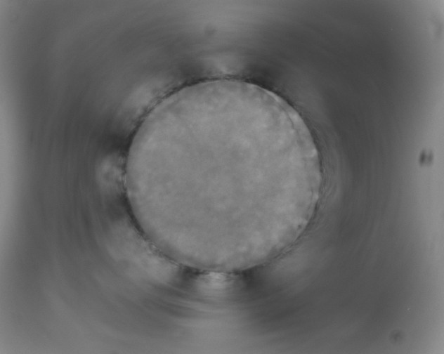 X0000113950672200910232008