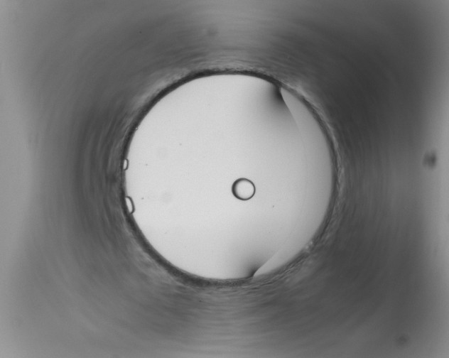 X0000113950673200910232007