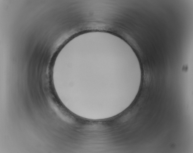 X0000113950674200910232007