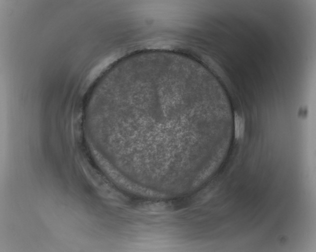X0000113950675200910232007