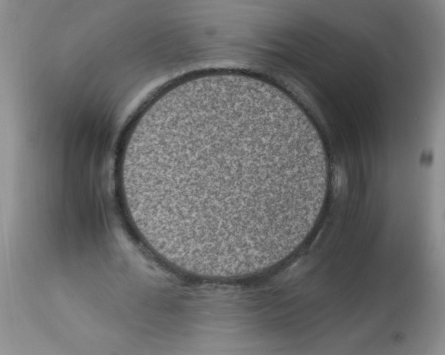 X0000113950676200910232007