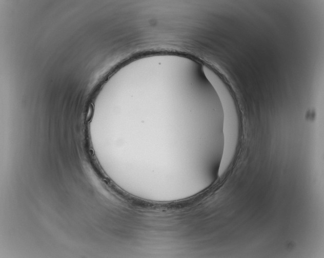 X0000113950677200910232007