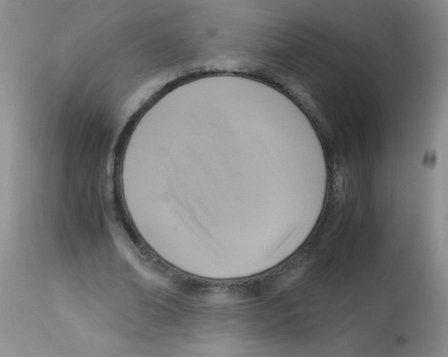 X0000113950678200910232007