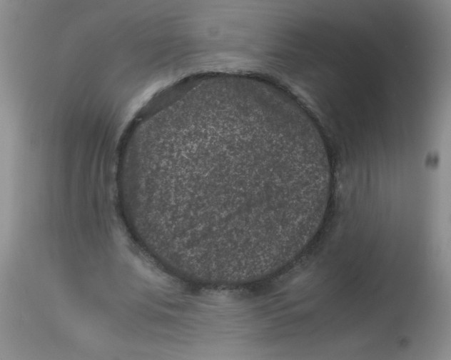 X0000113950679200910232007