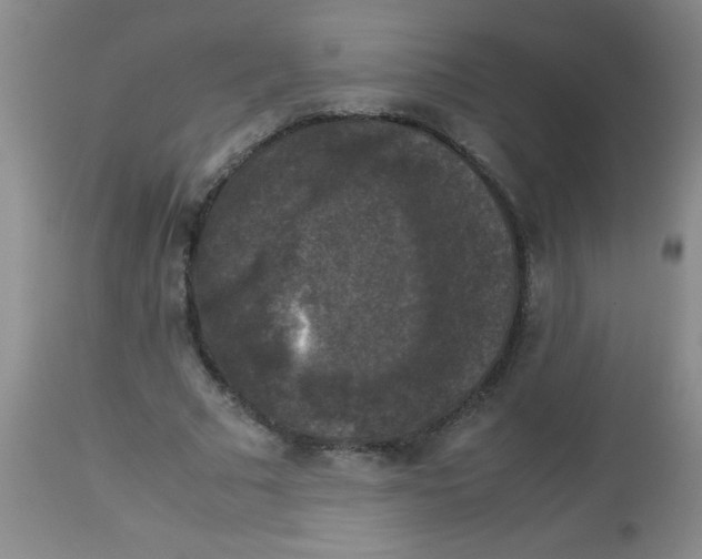 X0000113950681200910232007