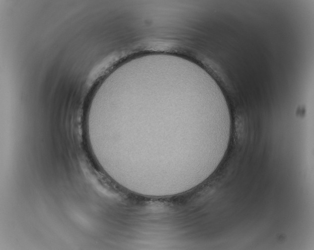 X0000113950682200910232007