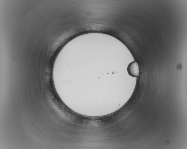 X0000113950683200910232007