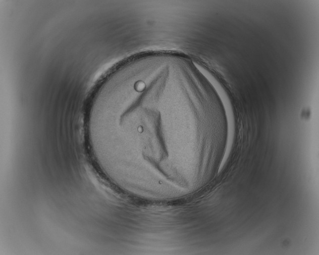 X0000113950684200910232007