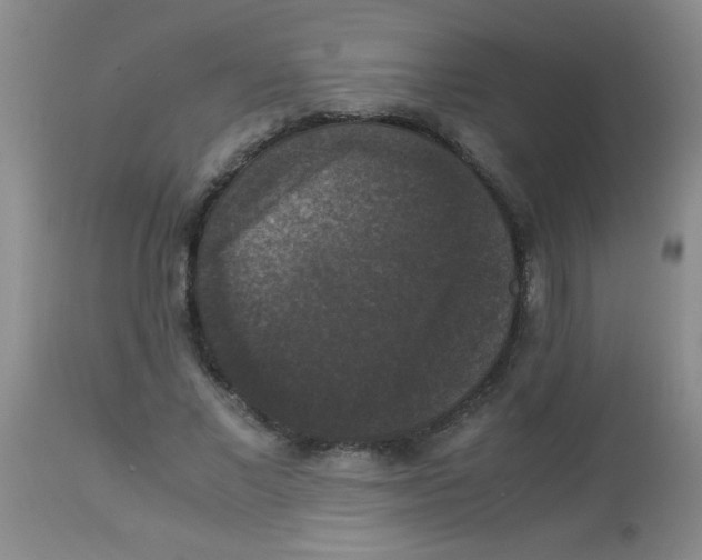 X0000113950685200910232007