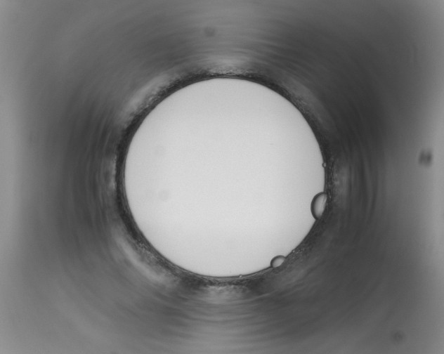 X0000113950686200910232007