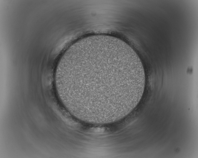 X0000113950687200910232007