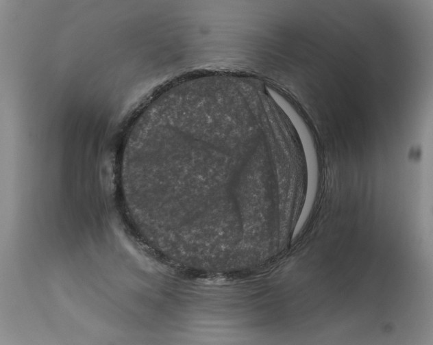 X0000113950688200910232007