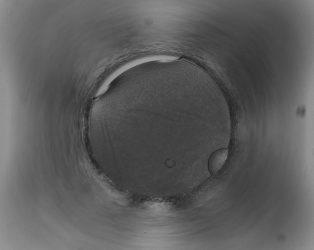 X0000113950689200910232007