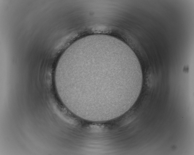 X0000113950690200910232007