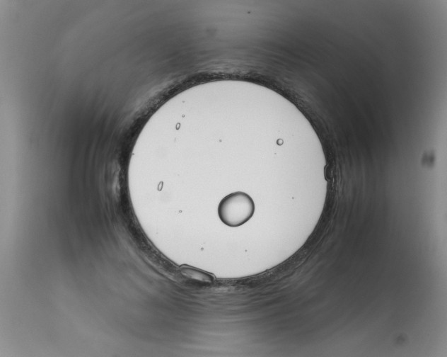 X0000113950692200910232007