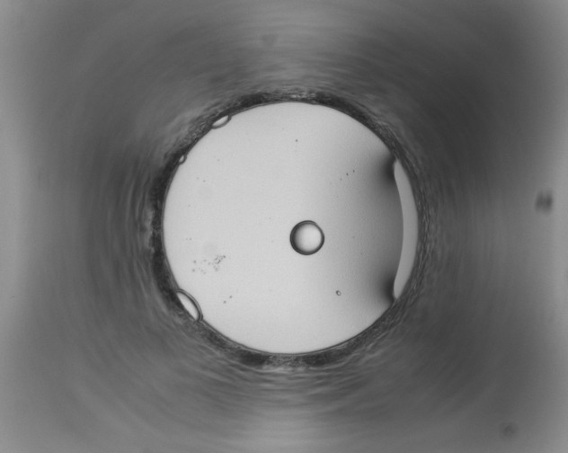 X0000113950693200910232007